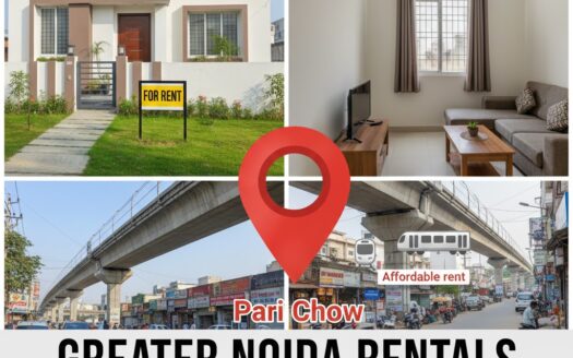 Aerial view of the wide, planned roads and elevated Aqua Line metro track near Pari Chowk in Greater Noida, symbolizing the city's modern infrastructure and planned growth.