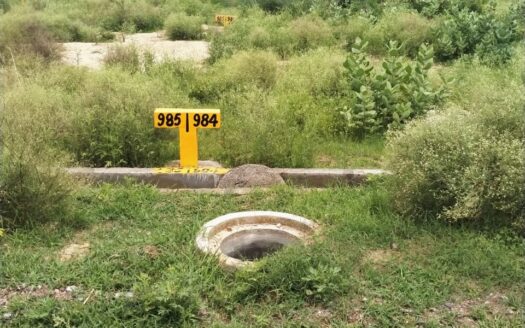 Plot For Sale In Yamuna Expressway Greater Noida